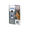 Cerf 13 Noir blister sans alarme