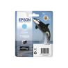 Epson T7605 - cyan clair - original - cartouche d'encre
