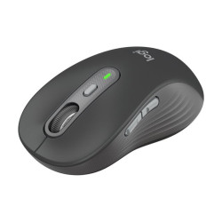 Logitech Signature M750 - souris - 2.4 GHz, Bluetooth - graphite