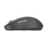 Logitech Signature M750 - souris - 2.4 GHz, Bluetooth - graphite