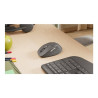 Logitech Signature Comfort Plus M850 L for Business - souris - 2.4 GHz, Bluetooth