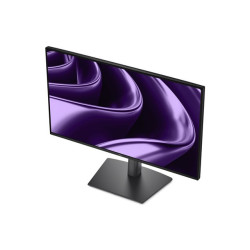 Dell Pro P P2426HE - écran LED - Full HD (1080p) - 24"