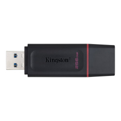 Kingston DataTraveler Exode - clé USB - 256 Go