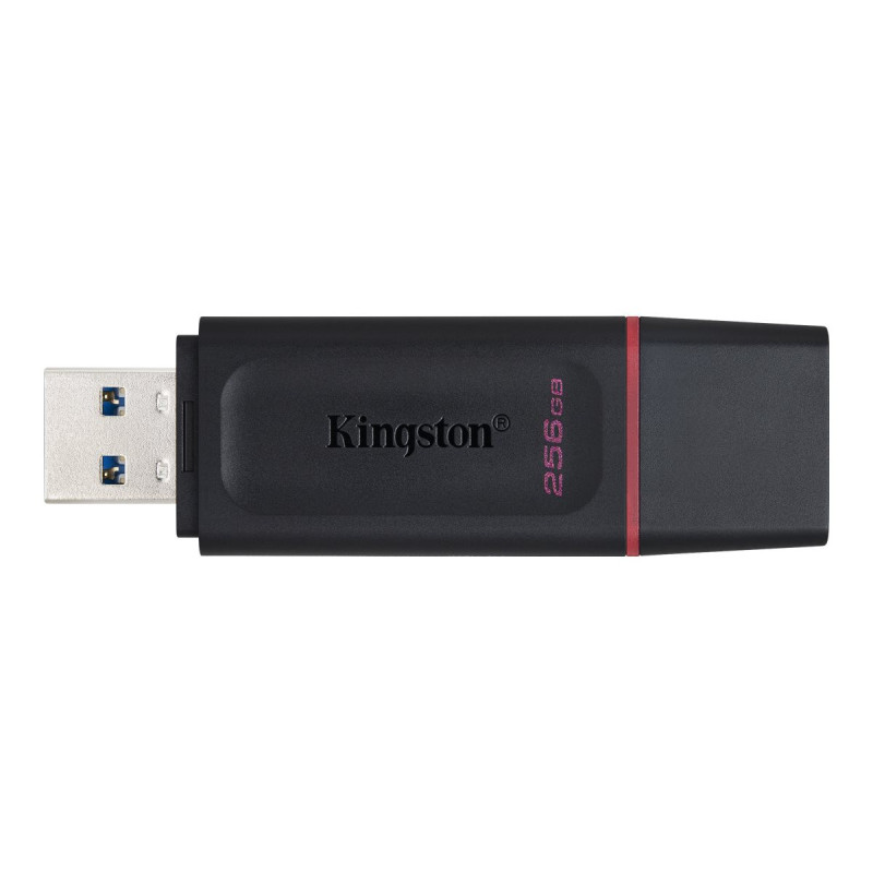 Kingston DataTraveler Exode - clé USB - 256 Go