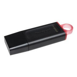 Kingston DataTraveler Exode - clé USB - 256 Go