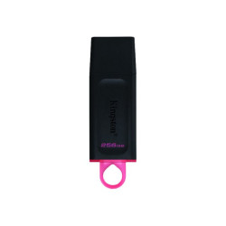 Kingston DataTraveler Exode - clé USB - 256 Go