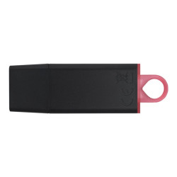 Kingston DataTraveler Exode - clé USB - 256 Go