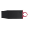 Kingston DataTraveler Exode - clé USB - 256 Go