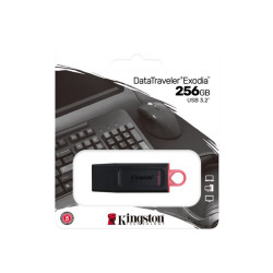 Kingston DataTraveler Exode - clé USB - 256 Go