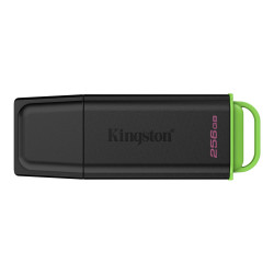 Kingston DataTraveler Exode - clé USB - 256 Go