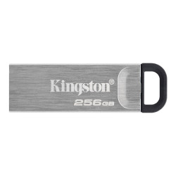 Kingston DataTraveler Kyson - clé USB - 256 Go