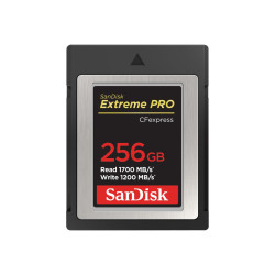 SanDisk Extreme PRO - carte mémoire flash - 256 Go - CFexpress