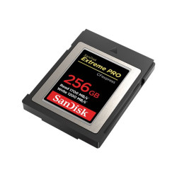 SanDisk Extreme PRO - carte mémoire flash - 256 Go - CFexpress
