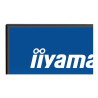 iiyama ProLite X2792QSU-B1 - écran LED - 27"