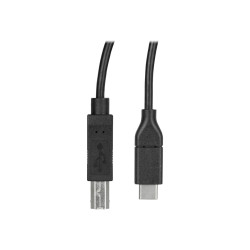 StarTech USB C to USB B Printer Cable - 10 ft / 3m - USB C Printer Cable - USB C to USB B Cable - USB Type C to Type B (USB2C...