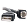 C2G 9.8ft USB A to USB B Cable - USB A to B Cable - USB 2.0 - Black - M/M - câble USB - USB pour USB type B - 3 m