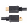 Startech Câble HDMI 2.0, 10 m, CMP, Classé Plenum, Haut Débit, 4K60Hz - câble HDMI - 10 m