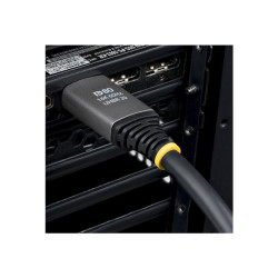StarTech - Câble DisplayPort - DisplayPort pour DisplayPort - 1 m