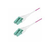 StarTech.com 2m (6.6ft) LC/LC (UPC) OM4 Multimode Fiber Optic Cable, OFNR - cordon de raccordement - 2 m - 2 m - violet
