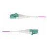 StarTech.com 2m (6.6ft) LC/LC (UPC) OM4 Multimode Fiber Optic Cable, OFNR - cordon de raccordement - 2 m - 2 m - violet