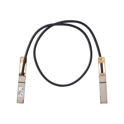 Cisco 100GBASE-CR4 Passive Copper Cable - câble à attache directe - 1 m
