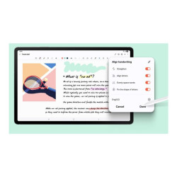 Samsung Galaxy Tab S10FE+ 13.1" 12Go 256Go WIFI GRAY