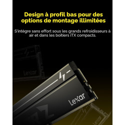 Lexar THOR Z DDR5 32 Go (2x16 Go) 6000 MHz CL36 - Mémoire RAM Gaming - Silotech Informatique