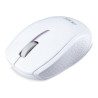 Acer M501 - souris - 2.4 GHz - blanc