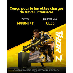 Lexar THOR Z DDR5 32 Go (2x16 Go) 6000 MHz CL36 - Mémoire RAM Gaming - Silotech Informatique