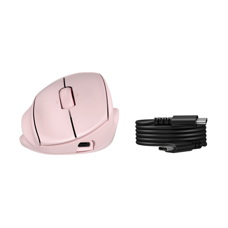 HP 720M - souris - inclinaison semi-verticale à 21° - Bluetooth, 2.4 GHz - rose