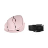 HP 720M - souris - inclinaison semi-verticale à 21° - Bluetooth, 2.4 GHz - rose