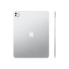 Apple 13-inch iPad Pro M5 Wi-Fi + Cellular - tablette - 1 To - 13" - 3G, 4G, 5G
