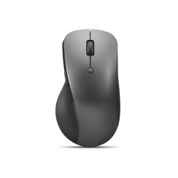 Lenovo Professional - souris - Bluetooth 5.1 - gris orage