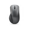 Lenovo Professional - souris - Bluetooth 5.1 - gris orage