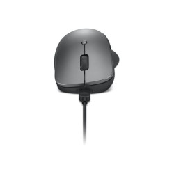 Lenovo Professional - souris - Bluetooth 5.1 - gris orage