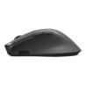 Lenovo Professional - souris - Bluetooth 5.1 - gris orage