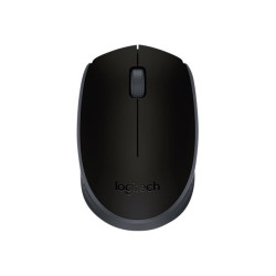 Logitech M171 - souris - 2.4 GHz - noir