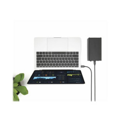 StarTech Câble Thunderbolt 3 (20 Gb/s) USB-C de 2 m - M/M - câble Thunderbolt - USB-C pour USB-C - 2 m