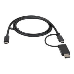 StarTech Câble USB-C avec Adaptateur USB-A 1m - Câble Hybride 2-en-1 USB C avec USB-A - USB-C vers USB-C (10Gbps/100W PD) - U...
