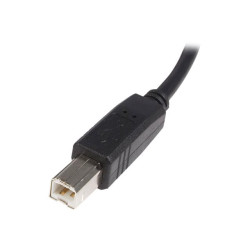StarTech.com Câble USB 2.0 A vers B de 2 m - Cordon USB A vers USB B - M/M - câble USB - USB pour USB type B - 2 m