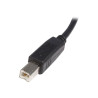 StarTech.com Câble USB 2.0 A vers B de 2 m - Cordon USB A vers USB B - M/M - câble USB - USB pour USB type B - 2 m