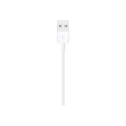 Apple câble Lightning - Lightning / USB - 1 m