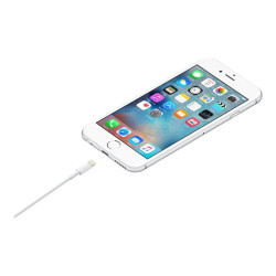 Apple câble Lightning - Lightning / USB - 1 m