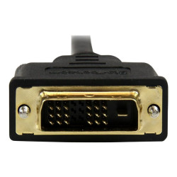 StarTech.com Câble Adaptateur Mini HDMI® vers DVI-D M/M pour Tablet et Caméra - 1x Mini HDMI (Type C) Mâle, 1x DVI-D (18+1) M...