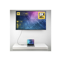 StarTech.com câble adaptateur - HDMI / USB - 20 cm