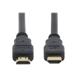 StarTech.com Câble HDMI haute vitesse Ultra HD 4K x 2K de 50cm - Cordon HDMI vers HDMI - Mâle / Mâle - Noir - Plaqués or - câ...