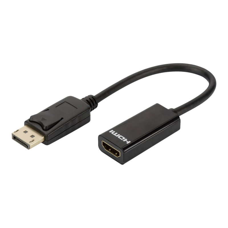 DLH câble adaptateur - DisplayPort / HDMI - 23 cm