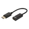 DLH câble adaptateur - DisplayPort / HDMI - 23 cm