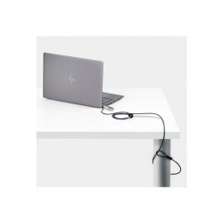 StarTech.com Slim Lock Noble Wedge Slot Compatible, 6.6ft Locking Cable - câble de sécurité - Conformité TAA