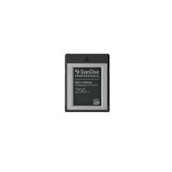 SanDisk Professional - carte mémoire flash - 256 Go - CFexpress de type B